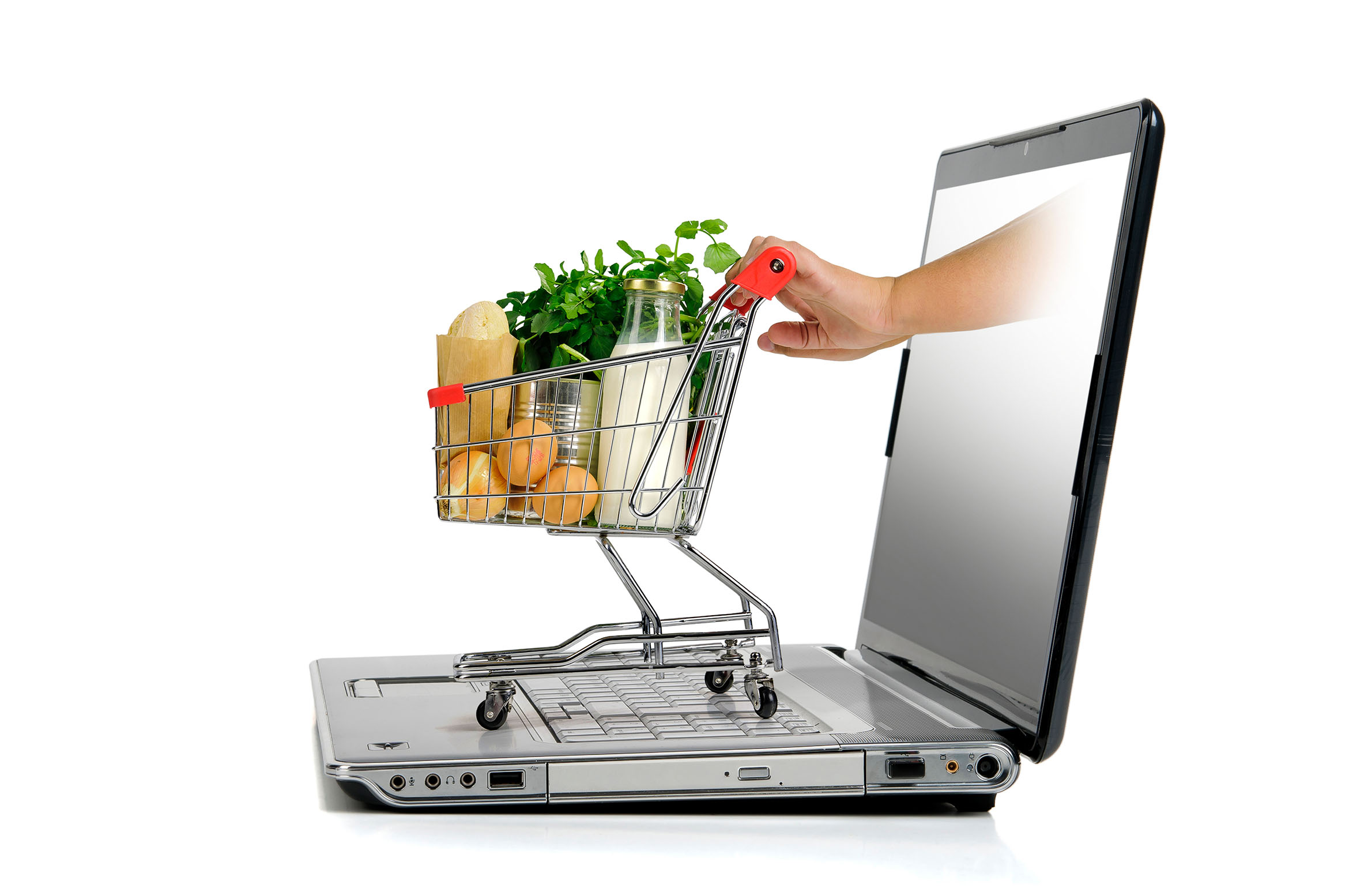 online grocery delivery software