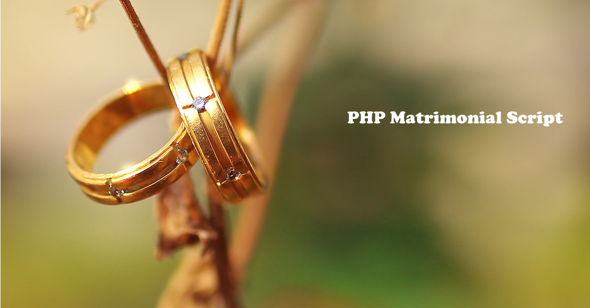 Find the best readymade matrimonial script for your matrimony business